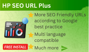 Bariklabs SEO URL Plus Multi language OpenCart