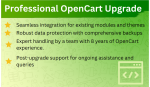 Bariklabs Seamless Professional OpenCart Upgrade
