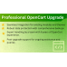 Seamless Professional OpenCart Upgrade
